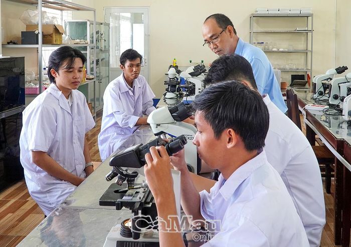 Sinh viên Trường Ðại học Bạc Liêu trong giờ thực hành.