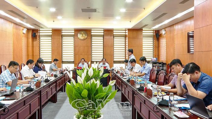 Phiên họp Ban Chỉ đạo tỉnh Cà Mau về thực hiện Nghị quyết 72.