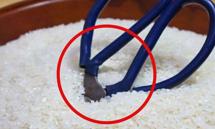 Cắm kéo vào thùng gạo mang lại nhiều lợi ích. Ảnh minh họa.