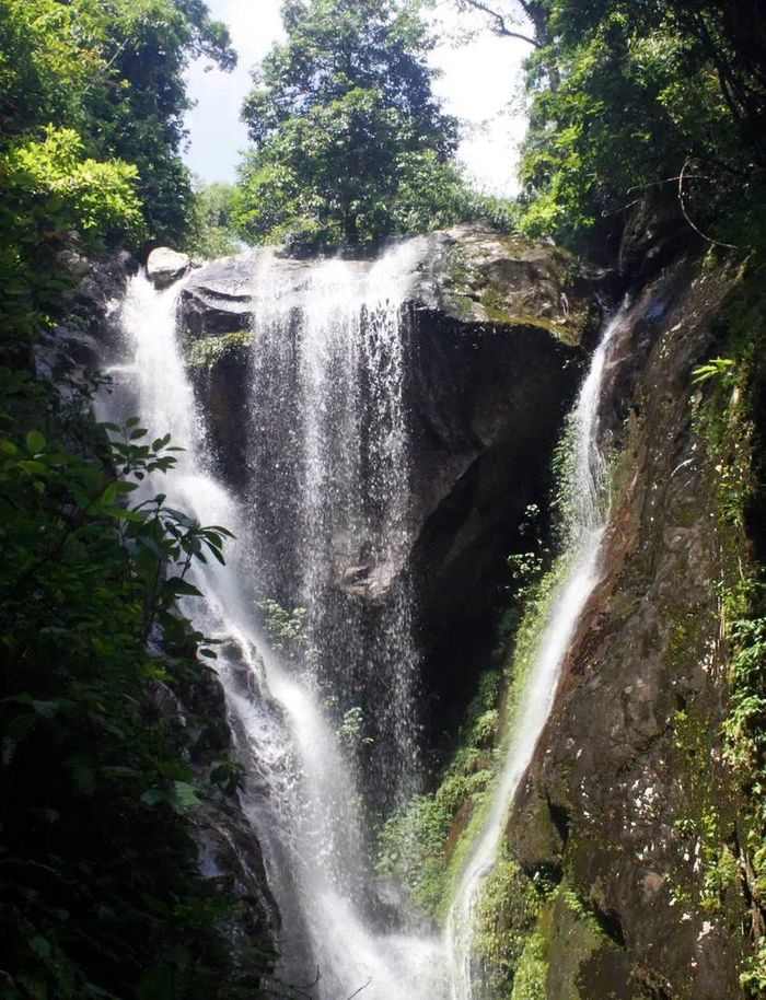 Ảnh: Báo Thể thao &amp; Văn hóa 