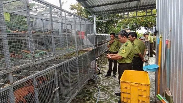 Việc công khai đường dây nóng sẽ góp phần nâng cao hiệu quả phát hiện, xử lý các hành vi vi phạm về động vật hoang dã trên địa bàn tỉnh. Ảnh: Chi cục Kiểm lâm tỉnh An Giang.