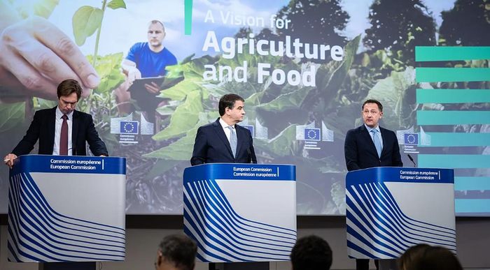 EU có thể áp thuế chống bán phá giá đối với các sản phẩm vịt nhập khẩu từ Trung Quốc