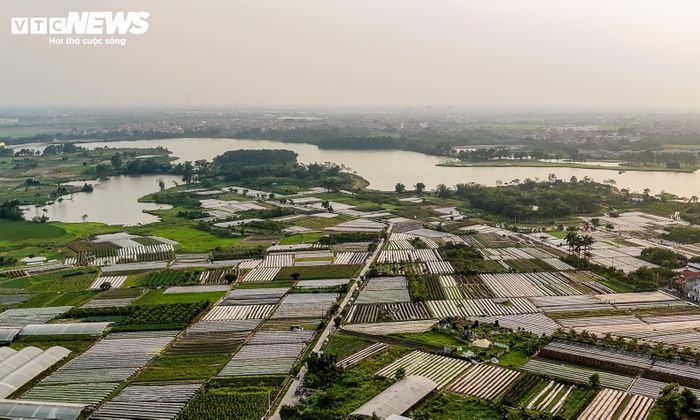 Trên địa bàn hiện đang triển khai nhiều dự án quy mô lớn như Khu đô thị đa mục tiêu Bắc Thăng Long Urban City, các khu nhà ở xã hội Tiên Dương, Bệnh viện TH, trụ sở các đơn vị thuộc Bộ Công an cùng nhiều dự án khác dọc trục Nhật Tân - Nội Bài.