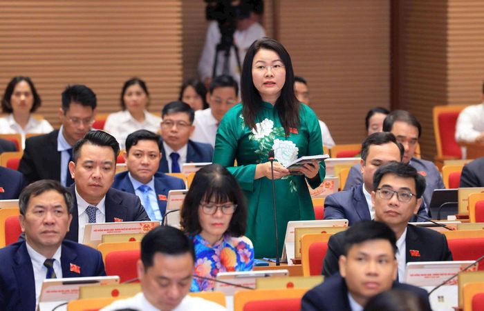 Đại biểu Phạm Thị Thanh Hương. Ảnh: Thành Thái