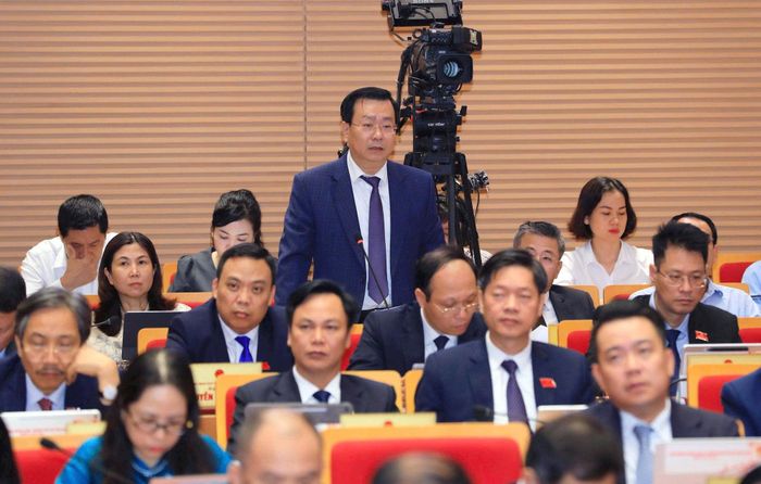 Giám đốc Sở Công Thương Võ Nguyên Phong trả lời chất vấn. Ảnh: Thành Thái