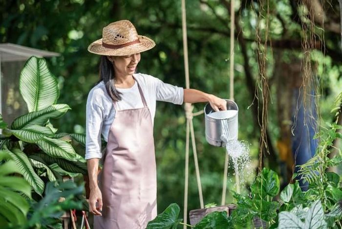 Ngoài 50 tuổi, điều quý giá nhất không còn là làm hài lòng tất cả mọi người, mà là giữ được sự bình yên trong tâm hồn. Ảnh minh họa