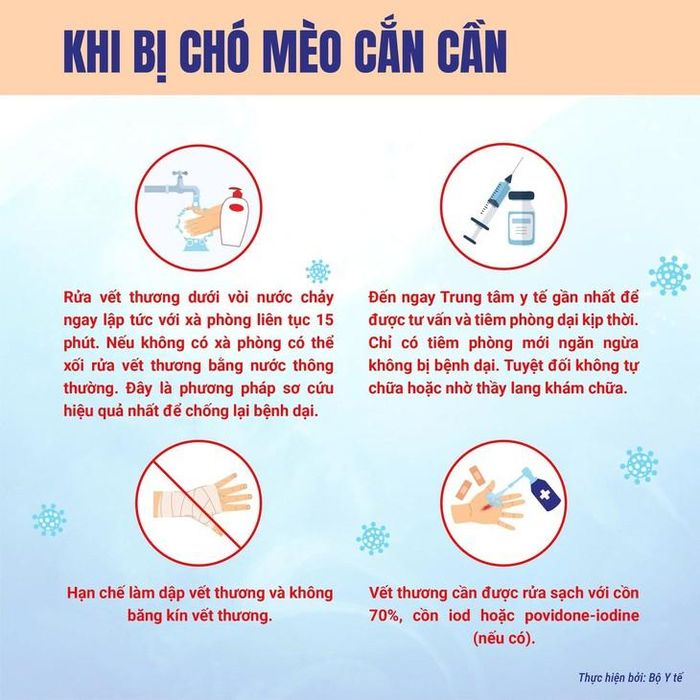 Người dân không tự điều trị khi bị chó, mèo cắn mà cần đến cơ sở y tế để được xử trí và tiêm phòng dại.