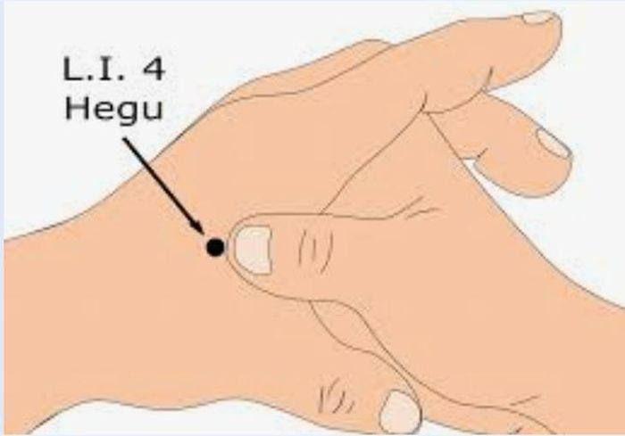 Vị trí huyệt Hợp Cốc.