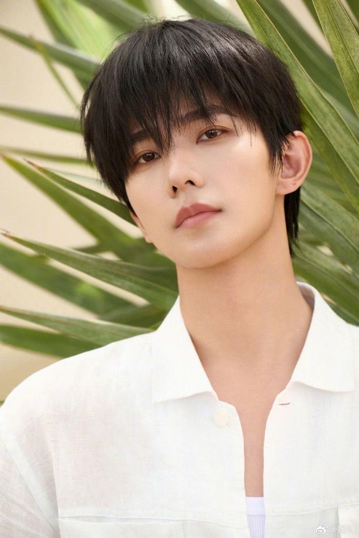 Dương Dương vẫn là đỉnh cao lưu lượng.