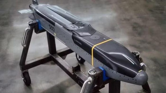 Về vũ khí đề cập, Barracuda-500 không phải tên lửa hành trình thông thường mà thực chất nó là máy bay không người lái (UAV) chạy bằng động cơ phản lực, mang theo nhiều loại tải trọng chiến đấu, thiết bị trinh sát hoặc thiết bị tác chiến điện tử.