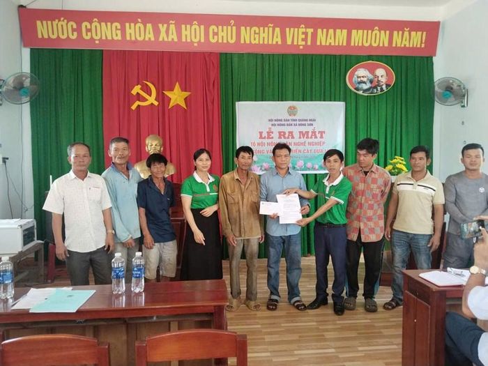 Ra mắt Tổ hội nghề nghiệp trồng và phát triển cây dưa lưới góp phần tăng cường liên kết sản xuất tại địa phương