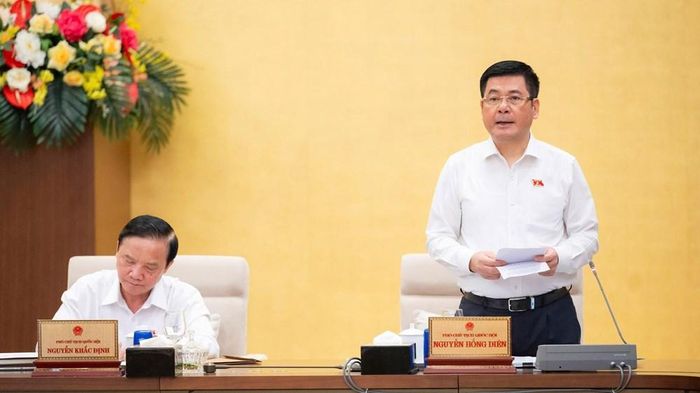Phó Chủ tịch Quốc hội Nguyễn Hồng Diên phát biểu kết luận