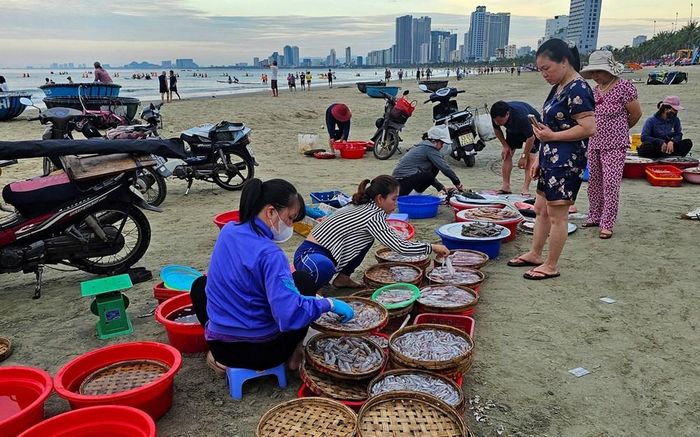 Chợ hải sản trên nền cát buổi sớm mai