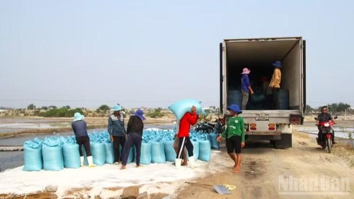 Phần lớn sản phẩm muối sản xuất thủ công của diêm dân vẫn tiêu thụ dưới dạng nguyên liệu thô nên giá trị gia tăng kinh tế chưa cao.