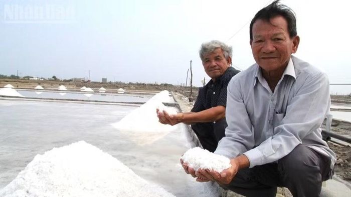 Trước yêu cầu nâng cao sức cạnh tranh, nhiều diêm dân đã mạnh dạn thay đổi phương thức sản xuất muối thủ công sang sản xuất muối công nghiệp.