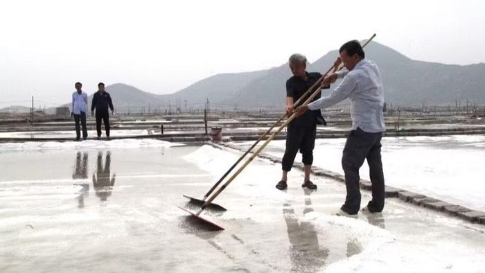 Xã Ninh Hải tăng cường liên kết với doanh nghiệp để mở rộng vùng sản xuất muối sạch, nhằm hình thành mối liên kết chặt chẽ từ sản xuất, chế biến đến tiêu thụ đem lại hiệu quả kinh tế cao cho sản phẩm đặc trưng trên vùng đất nhiều nắng gió.
