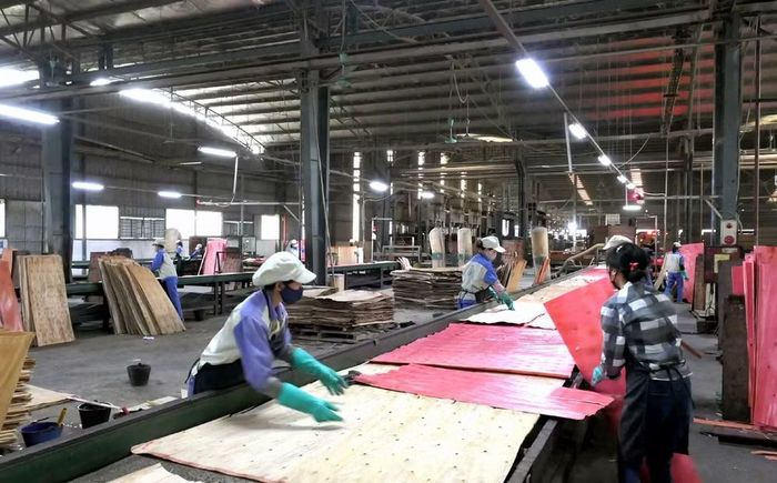 Tỷ trọng công nghiệp, xây dựng và dịch vụ trong cơ cấu nền kinh tế tỉnh Tuyên Quang đạt 74,23%.