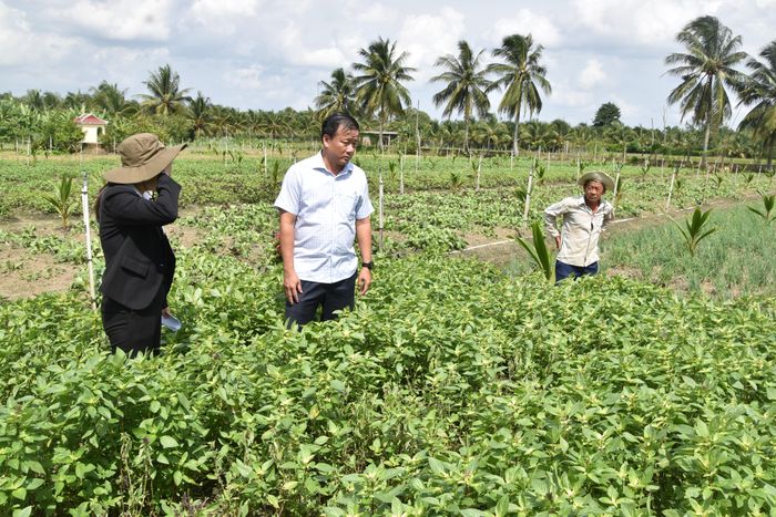  Ông Nguyễn Phước Thiện, Phó Chủ tịch UBND tỉnh Đồng Tháp kiểm tra tình hình rau màu bị thiệt hại tại xã Long Định 