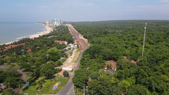  Rừng ven biển. Ảnh: THÀNH HUY 