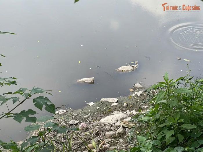 Trên mặt sông Nhuệ xuất hiện nhiều rác thải trôi nổi, cùng tình trạng nước đục, mùi hôi phát sinh, gây ảnh hưởng đến sinh hoạt của các hộ dân ven sông.