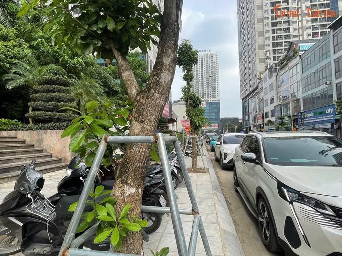 Cùng với mặt đường mới, hệ thống hạ tầng kỹ thuật như chiếu sáng, cây xanh, cũng đang dần hoàn thiện. Nhiều khoảng không sau giải tỏa đã mở ra tầm nhìn thông thoáng hơn, góp phần cải thiện cảnh quan toàn tuyến.