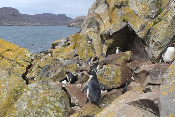 Ảnh: ileskerguelen.blogspot
