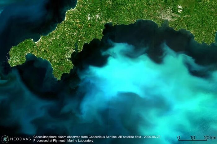 Hiện tượng tương tự ghi nhận tại eo biể Manche năm 2020.