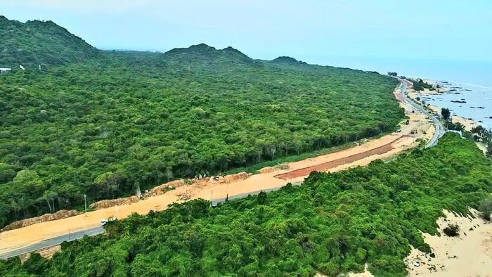 Cung đường ven biển ôm trọn khung cảnh nên thơ rừng và biển Bình Châu - Phước Bửu