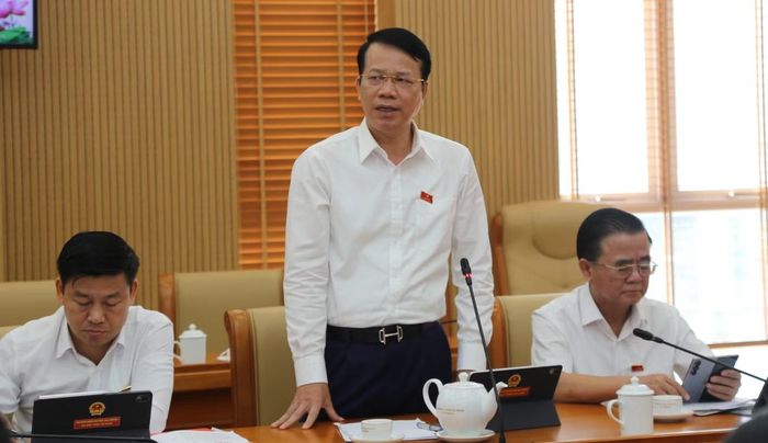 Phó Chủ tịch UBDN tỉnh Thái Nguyên Dương Văn Lượng phát biểu tại thảo luận tổ