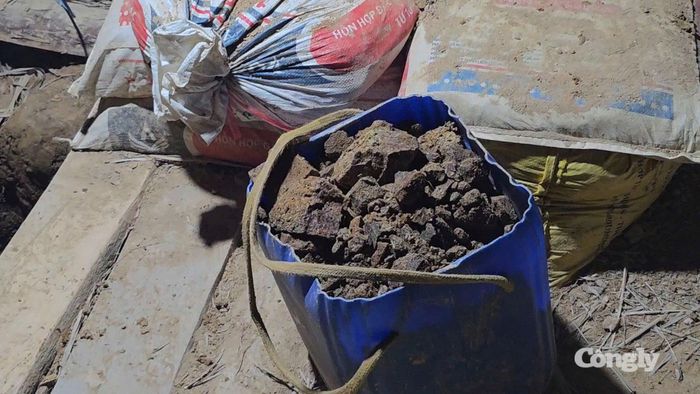 Quặng lấy từ lòng đất nghi là vàng