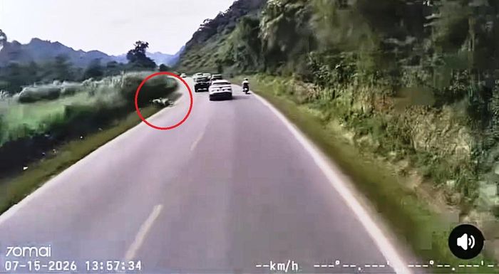 Công an tiếp tục xác minh người điều khiển xe máy (khoanh đỏ) bị ngã vào lề đường. Ảnh: Cắt từ clip