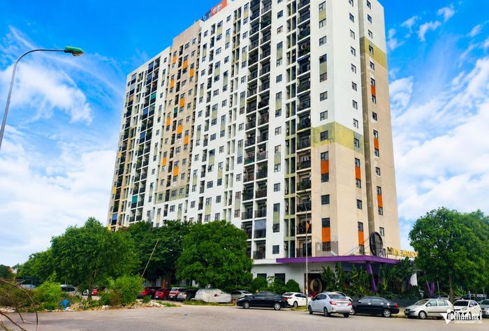 Thanh Hóa còn thiếu hơn 20.000 căn nhà ở xã hội. Ảnh: Lê Dương