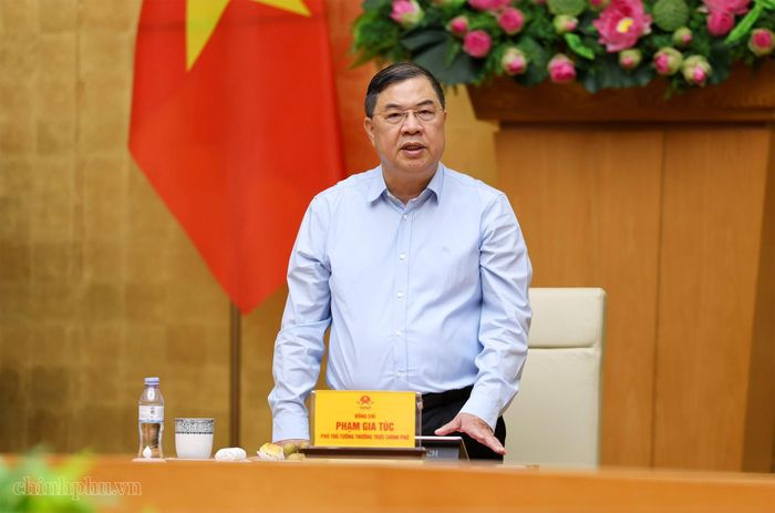 Phó Thủ tướng thường trực Phạm Gia Túc phát biểu tại cuộc làm việc. Ảnh: VGP