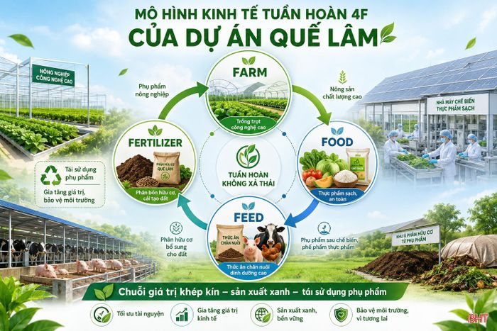 Theo nhà đầu tư, đây là tổ hợp kinh tế nông nghiệp hữu cơ tuần hoàn 4F có quy mô lớn nhất cả nước cũng như châu Á hiện nay. (Hình ảnh minh họa được tạo bởi AI).