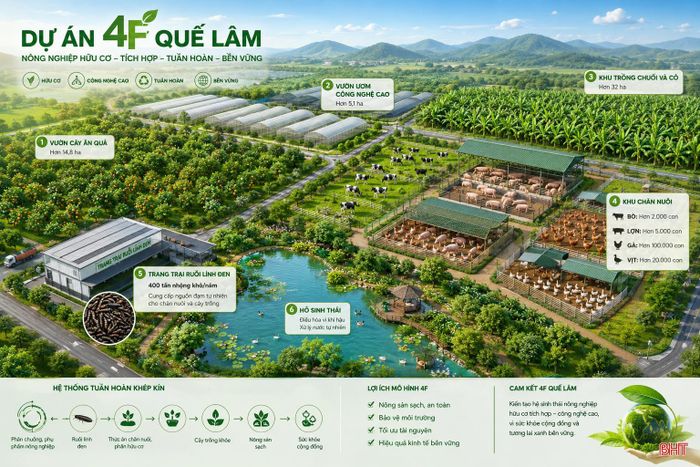 Tổ hợp tích hợp đồng bộ các khu trồng trọt, chăn nuôi, vườn ươm công nghệ cao, trang trại ruồi lính đen và hồ sinh thái theo hướng nông nghiệp hữu cơ tuần hoàn. (Hình ảnh minh họa được tạo bởi AI)