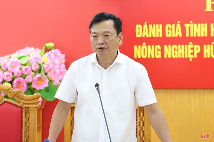 Phó Chủ tịch UBND tỉnh Hồ Huy Thành phát biểu tại hội nghị.