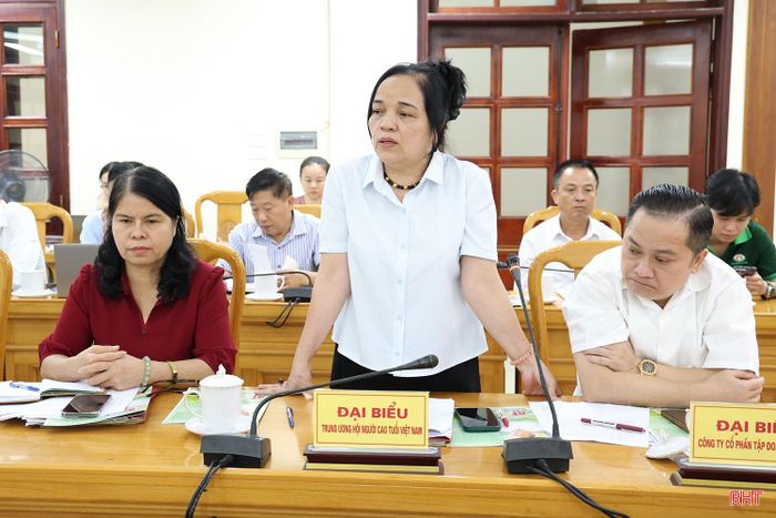 Trưởng ban Phát huy vai trò Người cao tuổi thuộc Trung ương Hội Người cao tuổi Việt Nam Hà Thị Minh Tâm phát biểu tại hội nghị.
