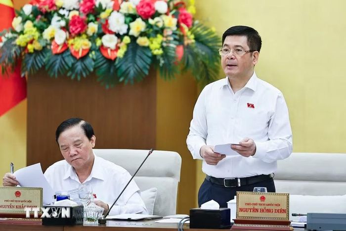 Phó Chủ tịch Quốc hội Nguyễn Hồng Diên phát biểu. (Ảnh: Doãn Tấn/TTXVN)