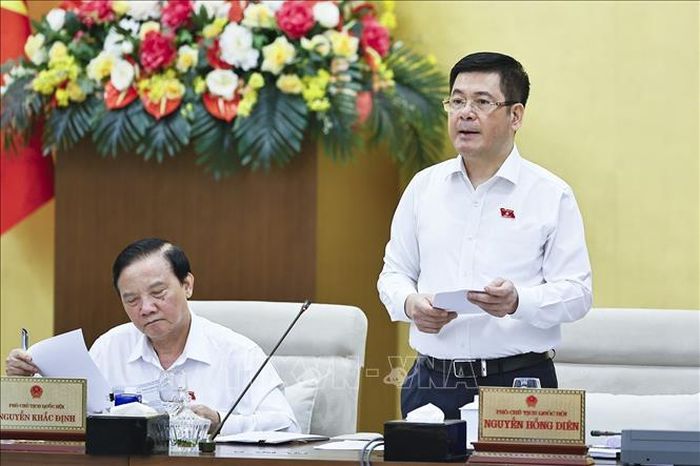 Phó Chủ tịch Quốc hội Nguyễn Hồng Diên phát biểu. Ảnh: Doãn Tấn/TTXVN