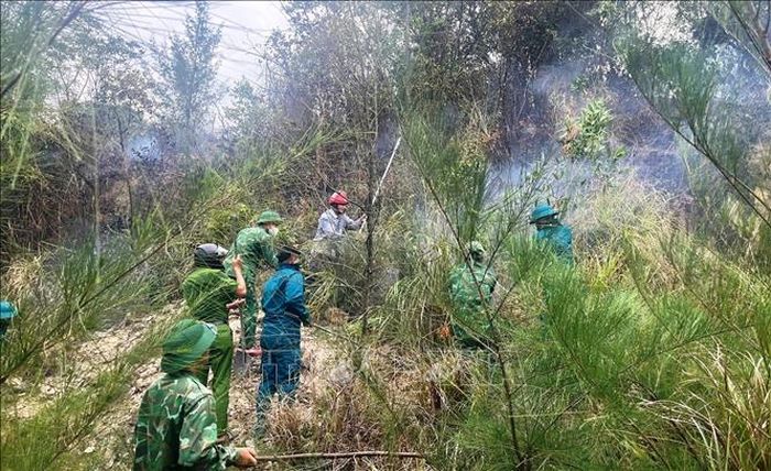 Các lực lượng tích cực khống chế đám cháy thực bì dưới chân đèo Lý Hòa, xã Đông Trạch, tỉnh Quảng Trị. Ảnh: TTXVN phát