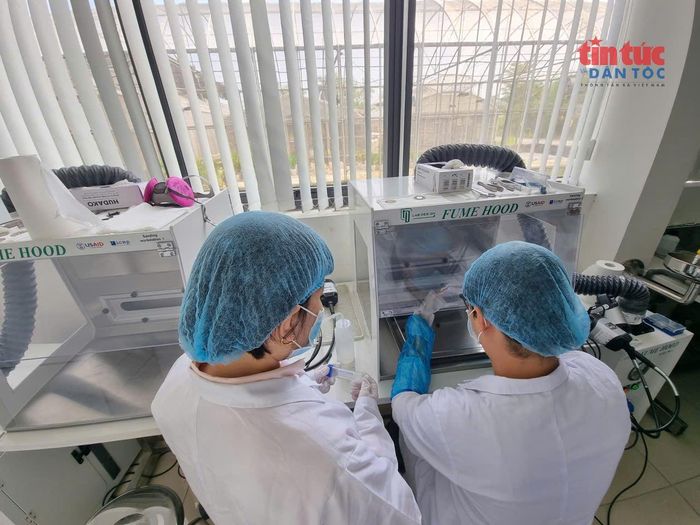 Xử lý mẫu ADN được đưa từ các nghĩa trang về Trung tâm ADN, Viện Sinh học, Viện Hàn lâm Khoa học và Công nghệ Việt Nam. Ảnh: XC