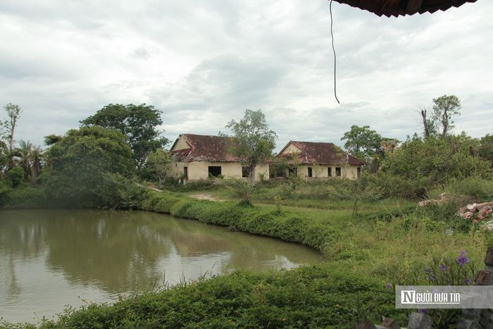 Cỏ dại um tùm xung quanh các nhà nghỉ của khu du lịch.