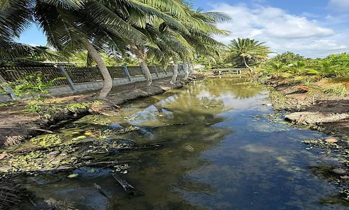 Tuyến kênh nội đồng người dân đã sử dụng nước tưới rau màu bị bồi lắng 