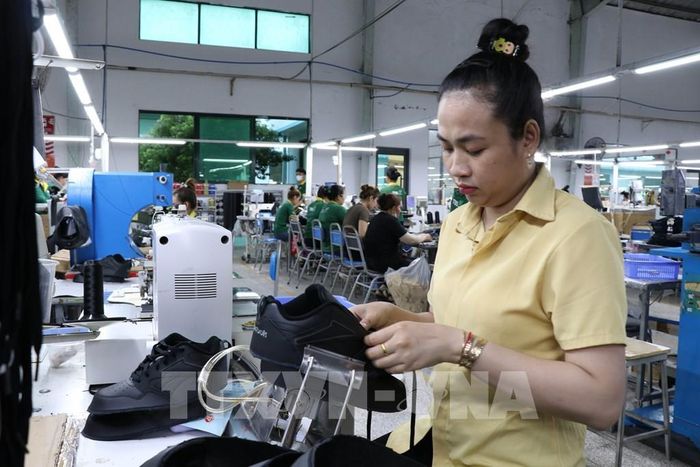 Công nhân làm việc tu tại Công ty Cổ phần Đầu tư và Sản xuất Công nghiệp Lefaso Trà Vinh (xã Trà Cú, tỉnh Vĩnh Long). Ảnh: Thanh Hòa - TTXVN