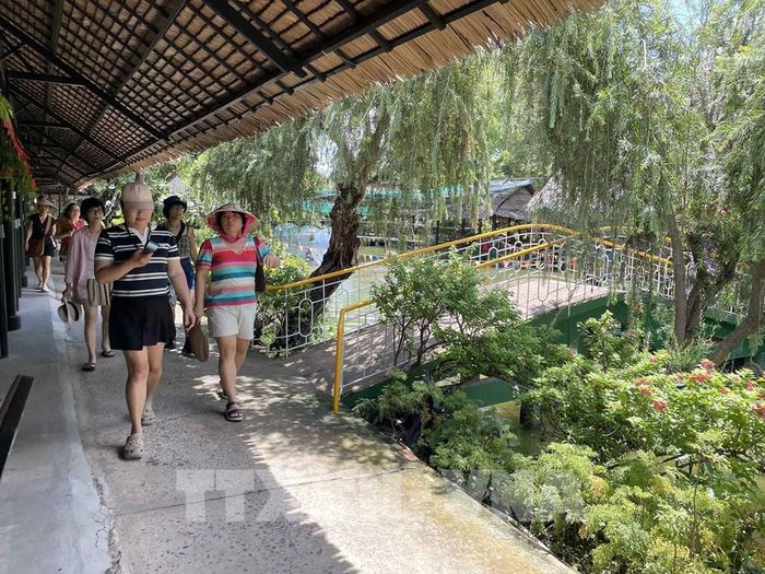 Du khách đến tham quan, vui chơi điểm Du lịch Cồn Phụng, xã Phú Túc, tỉnh Vĩnh Long. Ảnh: Phúc Sơn - TTXVN