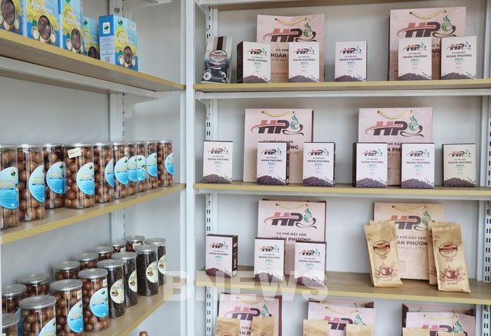 Giới thiệu các sản phẩm OCOP và nông sản đặc trưng của địa phương. Ảnh: Nguyễn Huy Thành - TTXVN