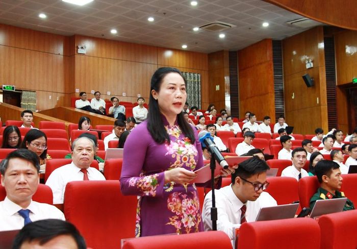 Đại biểu Chu Thị Toan phát biểu thảo luận.