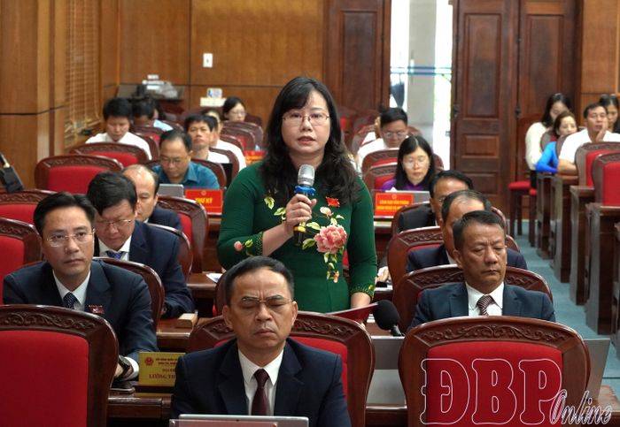 Đại biểu Lường Thu Hiền chất vấn tại kỳ họp.