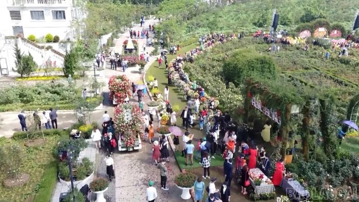 Lễ hội hoa hồng Fansipan thu hút đông đảo du khách đến tham quan.