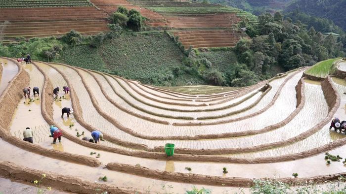 Ruộng bậc thang là một trong những biểu tượng của du lịch sinh thái, du lịch văn hóa, góp phần tạo sức hấp dẫn và mở rộng cơ hội thu hút đầu tư vào du lịch bền vững của Lào Cai.